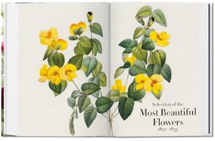 Redouté. The Book of Flowers. 40th Ed.